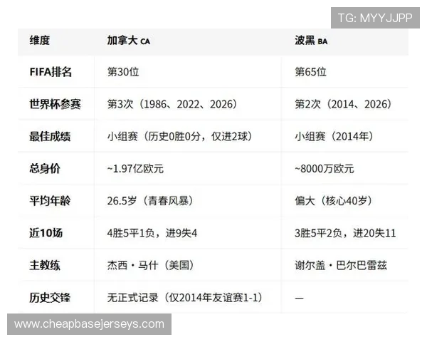 加拿大对阵波黑比赛赛后采访全场精彩内容深度解析